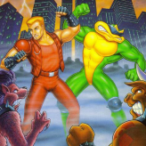 battletoads and double dragon